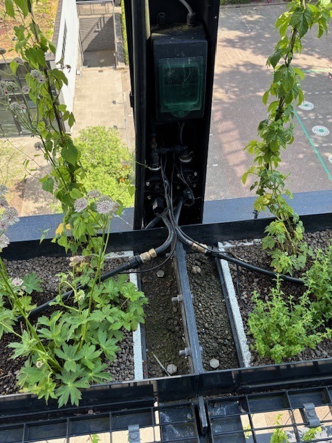 Druppelberegening systeem voor groene wand met besturing