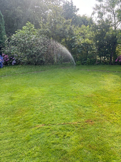 Sproeier op fraai groen gazon met bloementuin
